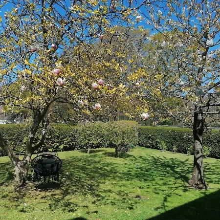 Des 2 Dalles 4 Pers * Sassetot-le-Mauconduit